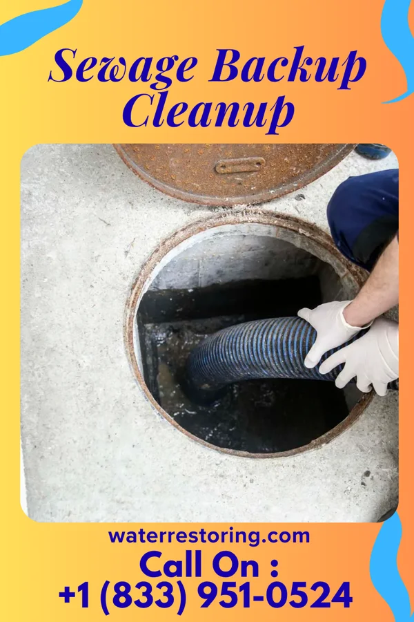 Sewage Backup Cleanup in Randolph AFB, TX